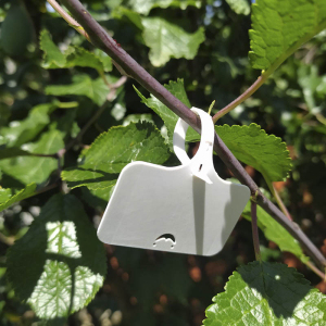 Таблички–бірки садові, 10 шт