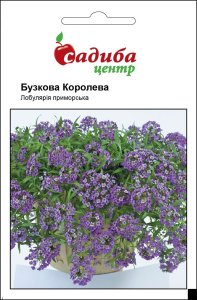 Лобулярия приморская Сиреневая Королева, 0,1 г Садиба Центр