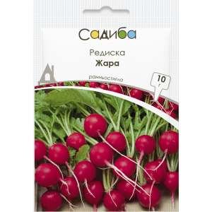 Редис Жара, 10 г, СЦ Традиция