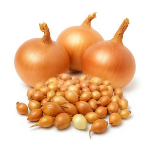 Лук - севок Трой 0,5 кг Broer