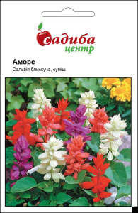 Сальвія Аморе, суміш, 20 шт, Садиба Центр