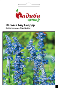 Сальвія Блубеддер, синя, 0,5 г, Садиба Центр