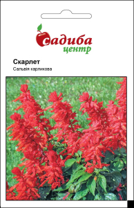 Сальвія Скарлет, 0,1 г, Садиба Центр
