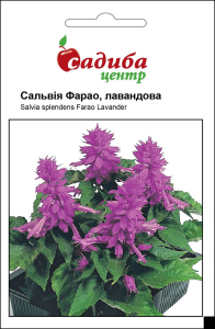Сальвія Фарао, лавандова, 0, 1 г, Садиба Центр