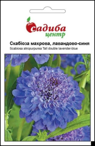 Скабіоза махрова, лавандово-синя, 0,2 г, Садиба Центр