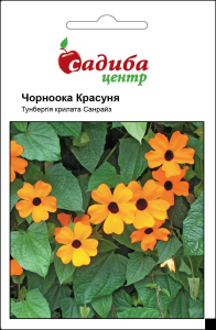 Тунбергія Чорноока красуня, 0,1 г, Садиба Центр