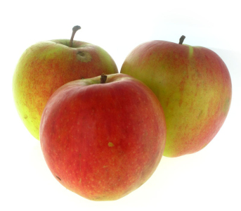 Яблуня Лігол