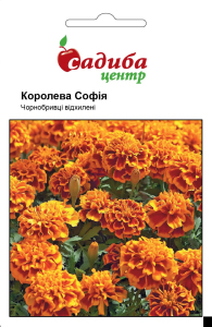 Бархатцы Королева София, 0,2 г Садиба Центр