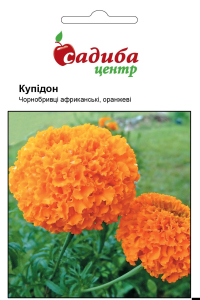 Бархатцы Купидон, оранжевые, 0,2 г Садиба Центр