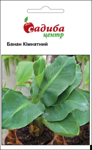 Банан комнатный, Садиба Центр 3 шт Садиба Центр