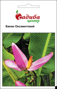 Банан оксамитовий, 3 шт, Садиба Центр