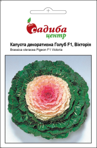 Капуста декоративная Голуб F1, Виктория 10 шт, Садиба Центр