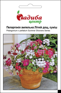 Пеларгонія Літній дощ, суміш, 3 шт, Садиба Центр