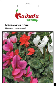 Цикламен Маленький Принц F1, смесь, 3 шт Садиба Центр