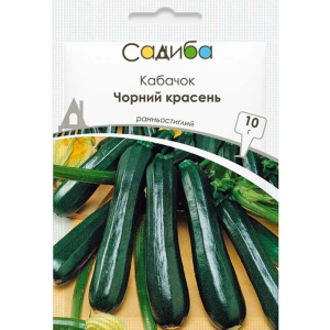 Кабачок Чорний Красень, 10 г, Садиба