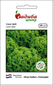 Салат Дабі 30 нас, Садиба Центр