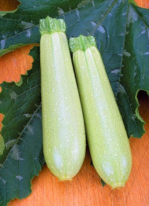 Кабачок Іскандер, 1000 шт, Seminis