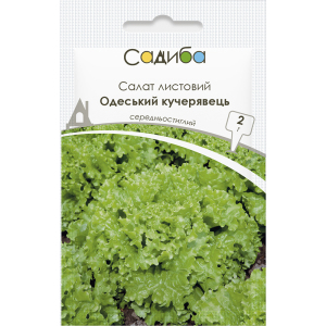 Салат Одеський кучерявець, 2 г, Садиба