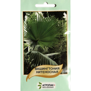 Пальма Вашингтония 5 шт, Агропакгруп
