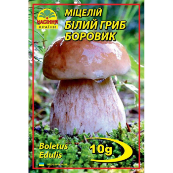 Мицелий Белый гриб боровик, 10 г
