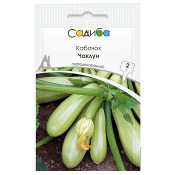 Кабачок Чаклун, 2 г, Садиба