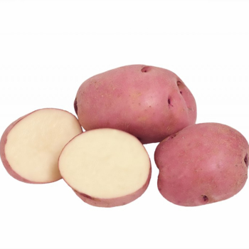 Картопля насіннева Слов'янка 1 кг