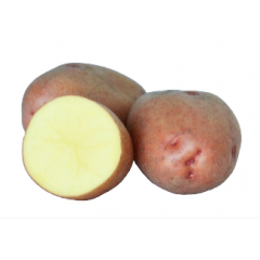 Картопля насіннева Мирослава 1 кг