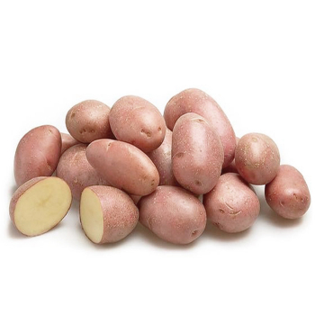 Картопля насіннева Струмок 1 кг