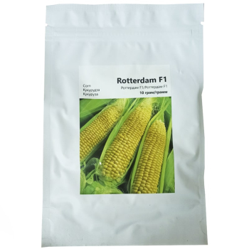 Кукурудза цукрова Роттердам F1, 10 г, Імперія насіння