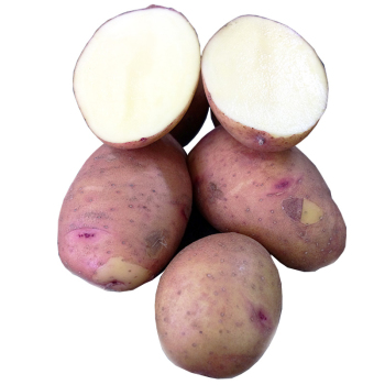 Картопля насіннева Арія 1 кг