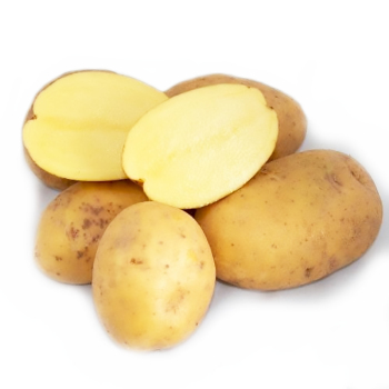 Картопля насіннева Житниця 1 кг