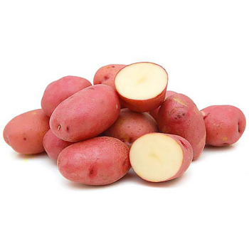 Картопля насіннева Рудольф 1 кг