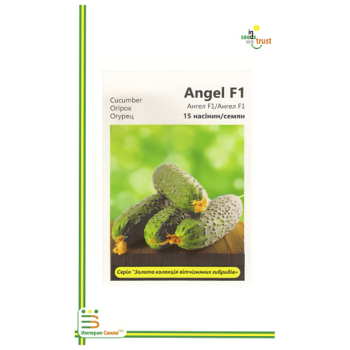 Огірок Ангел F1, 15 шт, Імперія насіння