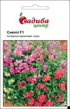 Антирринум Снеппи F1, смесь, 20 шт Садиба Центр