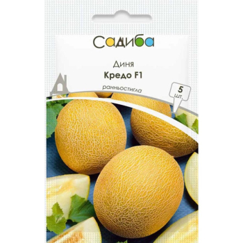 Диня Кредо, 5  шт, Садиба