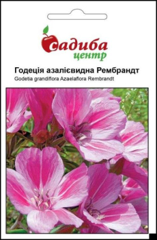 Годеция азалиевидная Рембрандт, 0,2 г Садиба Центр