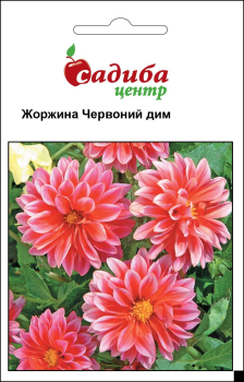 Жоржина Червоний Дим, 0,1 г, Садиба Центр