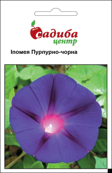 Ипомея Пурпурно-черная, 0,5 г Садиба Центр
