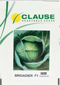 Капуста Бригадир F1 2500 шт, Clause