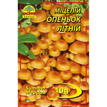 Міцелій Опеньок літній, 10 г