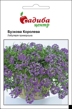 Лобулярия приморская Сиреневая Королева, 0,1 г Садиба Центр