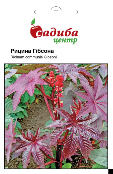 Клещевина Гибсона, 3 шт Садиба Центр