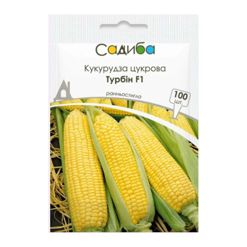 Кукурудза Турбін F1,  100 нас, Садиба
