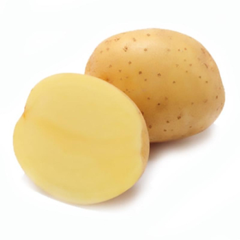 Картофель семенной Конект 1 кг