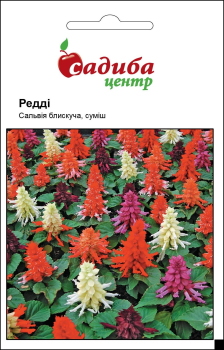 Сальвия Редди, смесь, 20 шт Садиба Центр