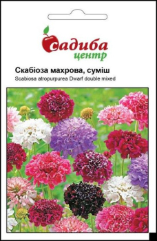 Скабиоза махровая, смесь, 0,3 г Садиба Центр