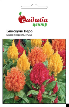 Целозия перистая Блестяще перо, смесь, 0,02 г Садиба Центр