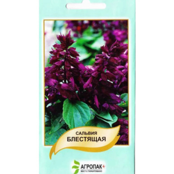 Сальвия блестящая пурпурно-фиолетовая 0.2 гр, Агропакгруп