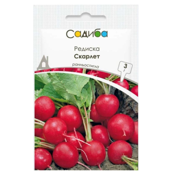 Редис Скарлет, 3 г, Традиция