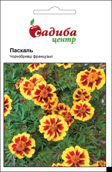 Бархатцы Паскаль, 0,2 г Садиба Центр